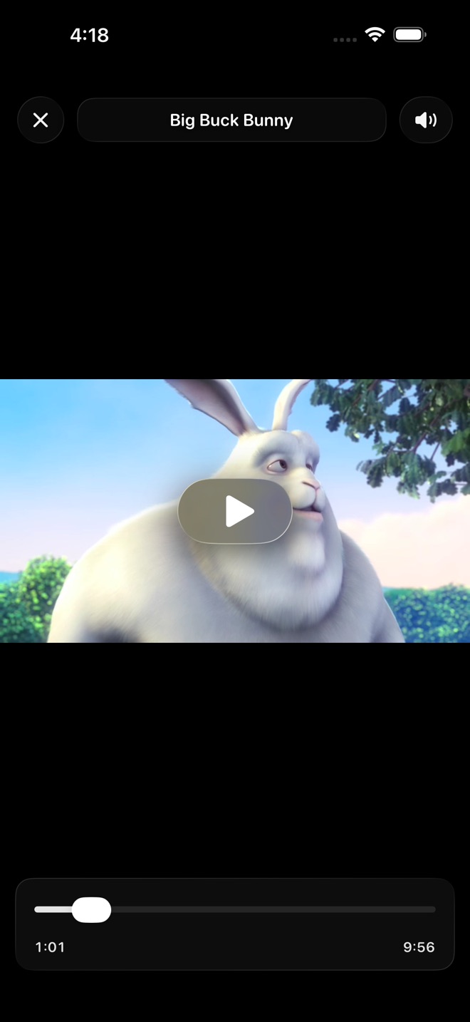 Video player